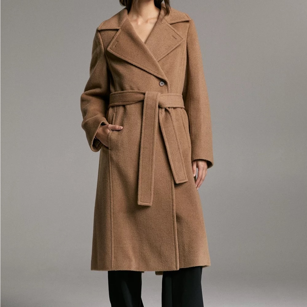 Aritzia Babaton Belmont Coat, Medium